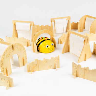 bee-bot/blue-bot obstacle course
